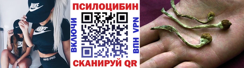 купить закладку  мориарти наркотические препараты  Псилоцибиновые грибы мухоморы  Куйбышев 
